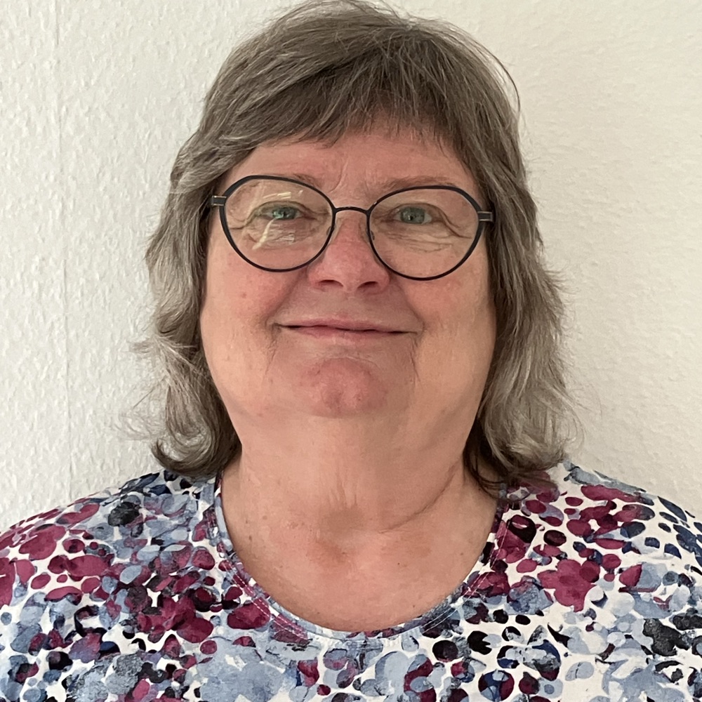 Nye venner